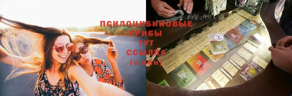 стафф Осташков