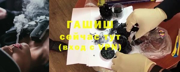 стафф Осташков