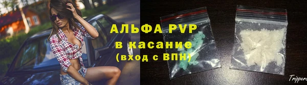 стафф Осташков