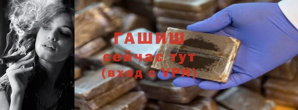 прущие грибы Белокуриха