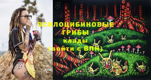 стафф Осташков