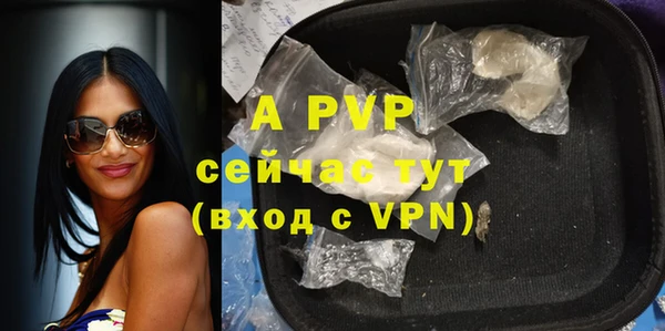 стафф Осташков