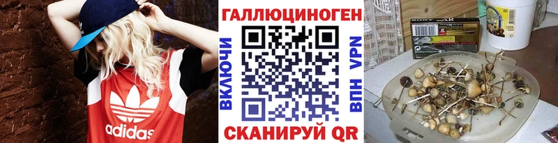 мега ссылки  Новосибирск  Псилоцибиновые грибы прущие грибы 